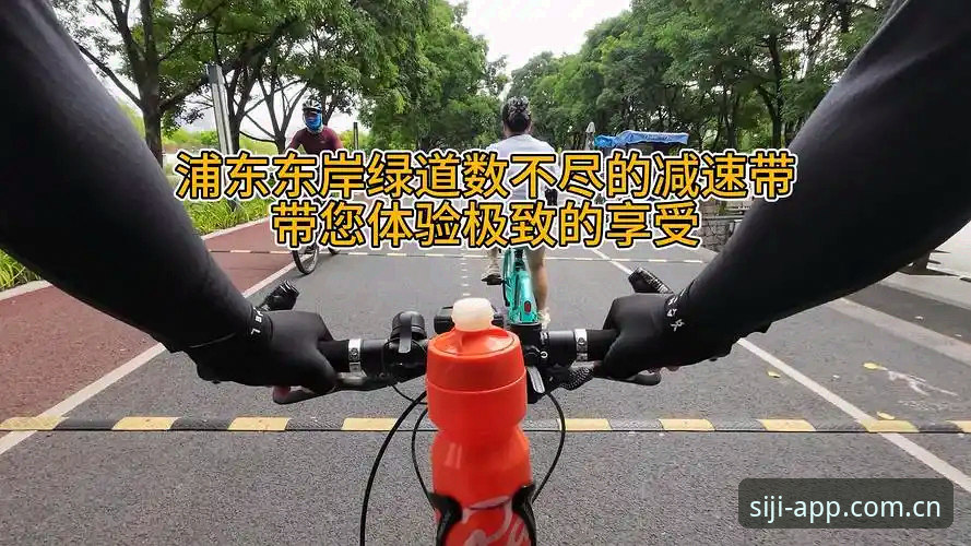深度揭秘四季体育最新版本：安装背后的真相与极致体验全攻略