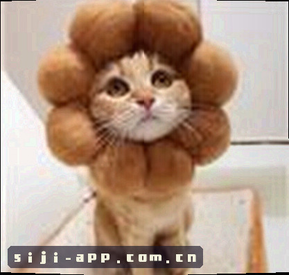 吴鹏